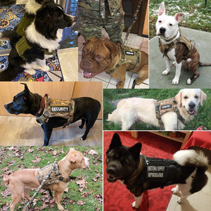 Tactical Dog Harnesses